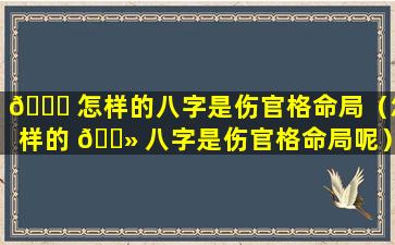 🐟 怎样的八字是伤官格命局（怎样的 🌻 八字是伤官格命局呢）